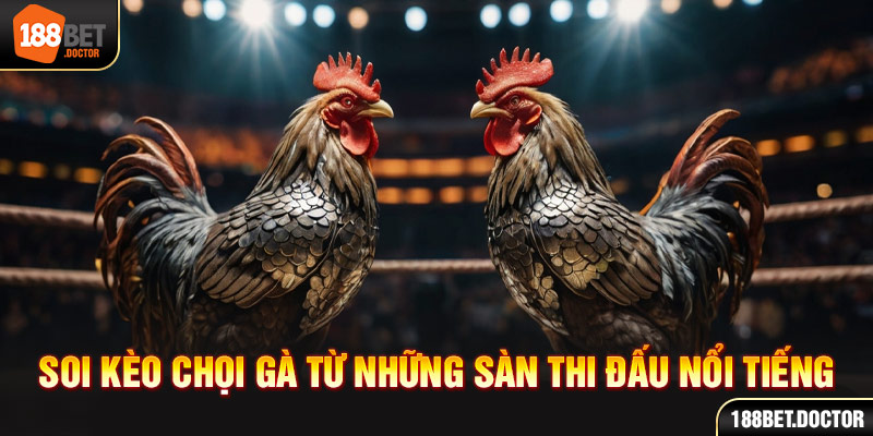 sacijogo